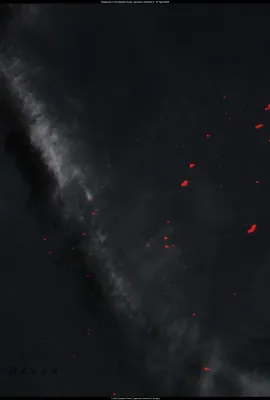 Sargassum in the Caribbean Sea