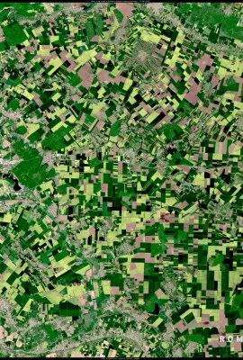 Agricultural blooms, Romania