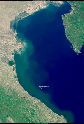 Algal bloom in the Adriatic Sea