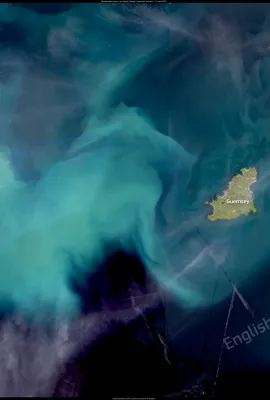Phytoplankton bloom in the English Channel