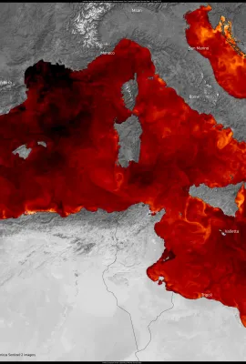 Intense marine heatwave hits the western Mediterranean Sea