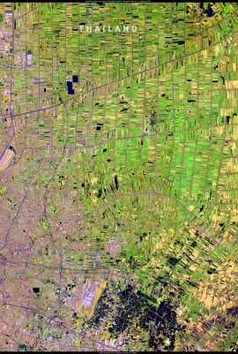 Agricultural landscape surrounding Bangkok, Thailand