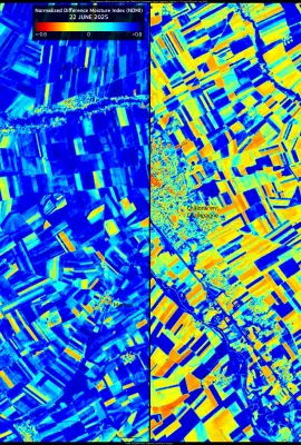 The heatwave’s effects on soil moisture near Châlons-en-Champagne, France