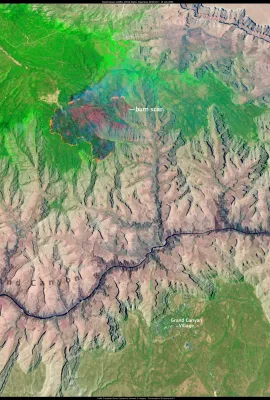 Wildfire in the Grand Canyon, USA