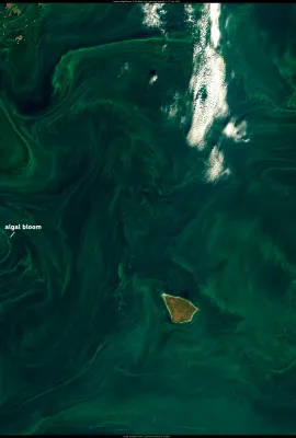Intense algal bloom in the Baltic Sea
