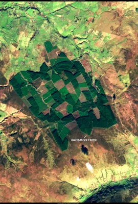 Ballypatrick Forest, Northern Ireland (UK)