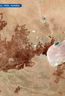 Fire in the Etosha National Park, Namibia