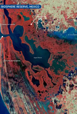 The Marismas Nacionales Biosphere Reserve, Mexico