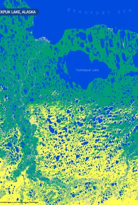 The arctic wetlands of the Teshekpuk Lake, Alaska, USA