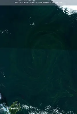 Algae bloom formation near Visby Island, Sweden