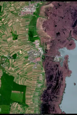 The effects of climate change are changing Austria's wine industry