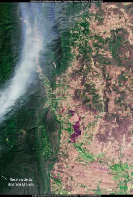 Multiple wildfires raging in Mexico 