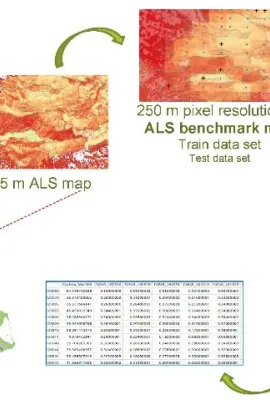 Methodological scheme to retrieve the final aboveground forest carbon maps.