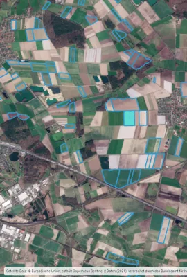 OBSERVER: Revealing hidden land patterns with AI and Copernicus