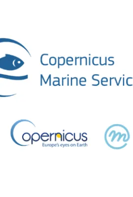 Call for consultation - CMEMS - CAPACITY DEVELOPMENT ACTIVITIES WITHIN THE FRAMEWORK OF THE COPERNICUS MARINE AND WEkEO SERVICES