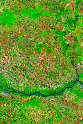 OBSERVER: How the EU Space Programme supports agriculture