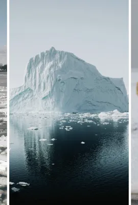 OBSERVER: An in-depth look at the Copernicus Arctic Hub