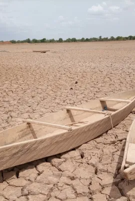 Unleashing the Power of Copernicus:                     Enhancing Decision-Making with the European and Global Drought Observatories