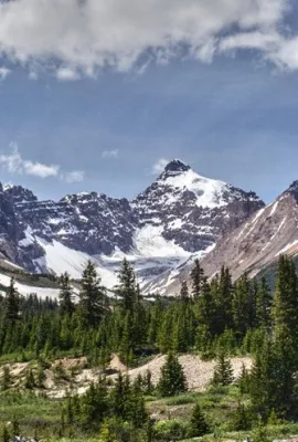 OBSERVER: Small Size, Big Impact: Mapping Small Woody Landscape Features Across Europe