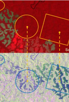 OBSERVER: How Copernicus helps implement the CAP