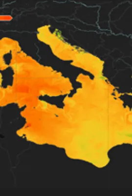 OBSERVER: Record-Breaking Marine Heatwaves in the Mediterranean and Safeguarding Marine Ecosystems