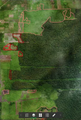 OBSERVER: Copernicus supports forest monitoring for the benefit of the climate, the environment and natural resources