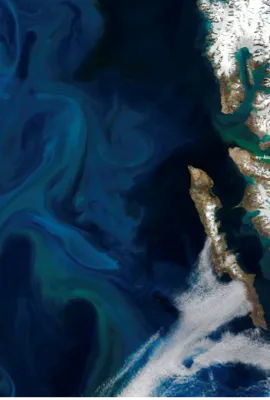 OBSERVER: Telling meaningful stories with EO data