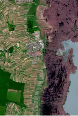 OBSERVER: Caring for our soils with the EU Space Programme