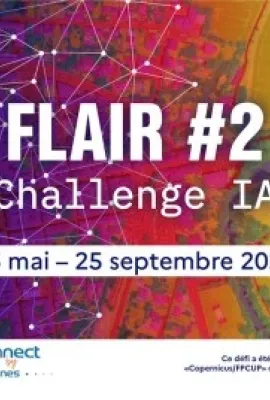 Flair2 Challenge
