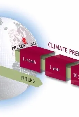Participation record for feedback survey on Seamless Web