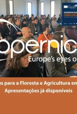 Copernicus for Forestry and Agriculture in Portugal 