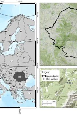 Testing Forestry Digital Twinning Workflow Based on Mobile LiDAR