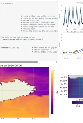 Jupyter Notebooks from the Copernicus Workshop Series in Iceland