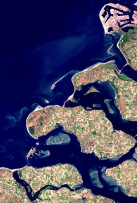 OBSERVER: An Exploration of the Copernicus Thematic Hubs