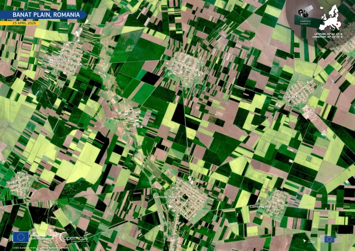 Spring crops across the Banat Plain, Romania 