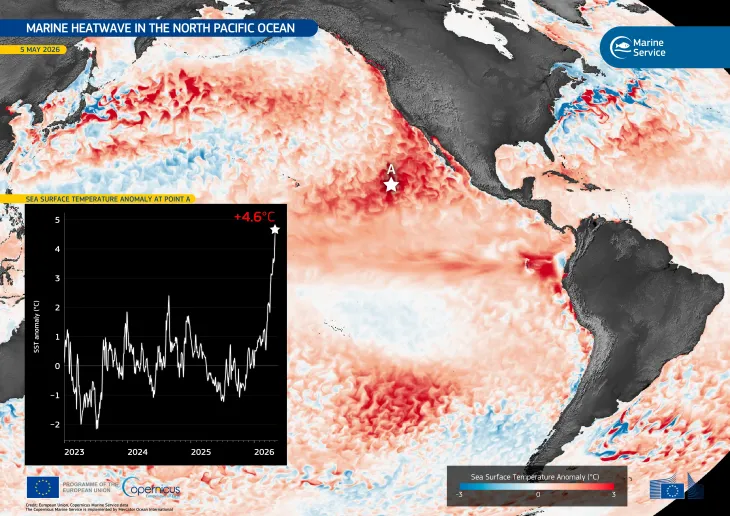 Marine heatwave affecting the North Atlantic Ocean