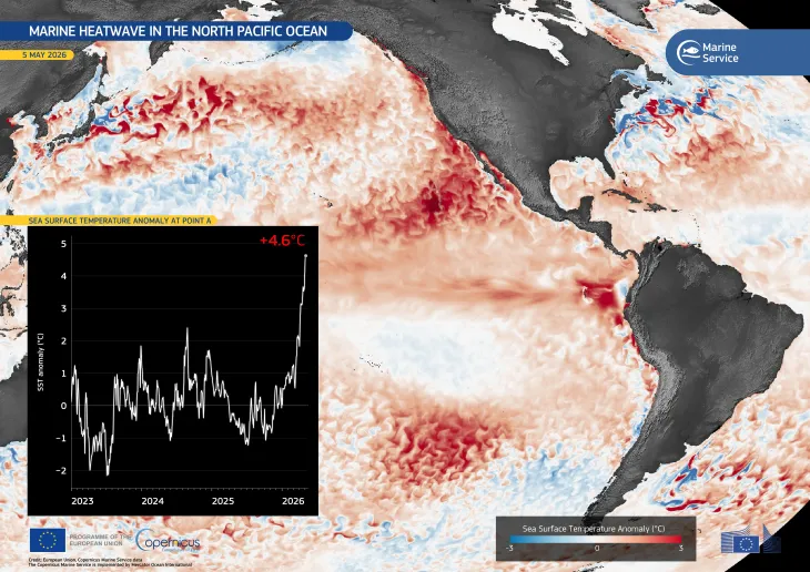 North Pacific heatwave puts marine ecosystems under pressure