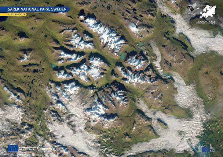 Sarek