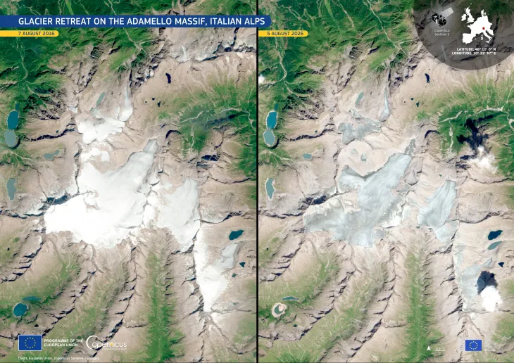 Side-by-side Copernicus Sentinel-2 satellite images of the Adamello Massif in the Italian Alps, comparing 7 August 2016 (left) with 5 August 2026 (right). The 2026 image shows substantial glacier retreat and thinning, with much less continuous white ice and snow and more exposed rock and fragmented glacier surfaces.