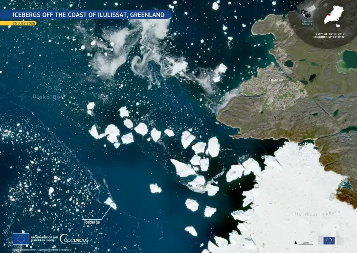 Satellite image of the coast near Ilulissat, Greenland, on 25 July 2026. Dark blue waters of Disko Bay are scattered with dozens of bright white icebergs of varying sizes drifting away from the mouth of Ilulissat Icefjord, which is covered by a large expanse of sea ice at the lower right. The town of Ilulissat appears along the rocky coastline on the right, with labels identifying the bay, icefjord, and icebergs. An inset map marks the location in Greenland, and Copernicus Sentinel-2 branding, coordinates, 