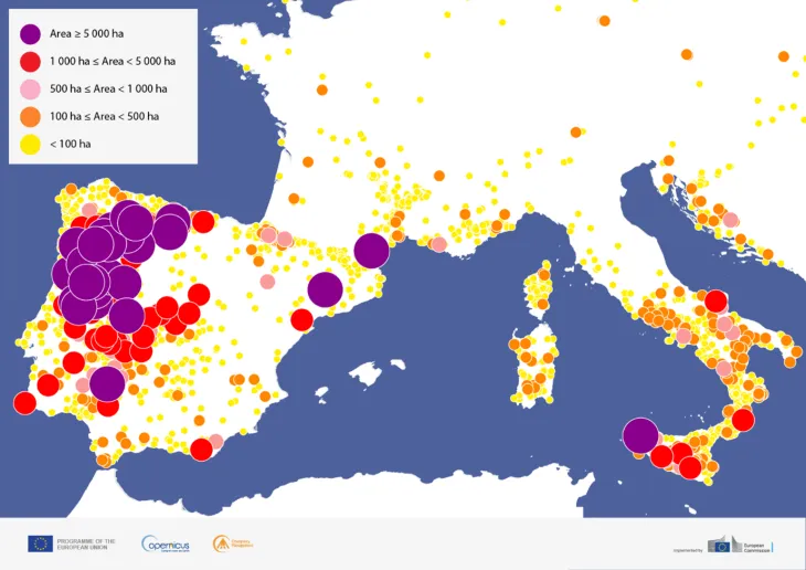 OBSERVER: Record-breaking 2025 fire season in the EU — insights from the Copernicus Emergency Management Service