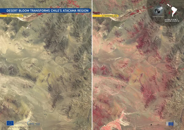 Sentinel-2 images of Atacama Region in Chile before and after the bloom