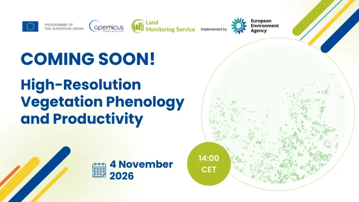 Vegetation phenology and productivity across scales