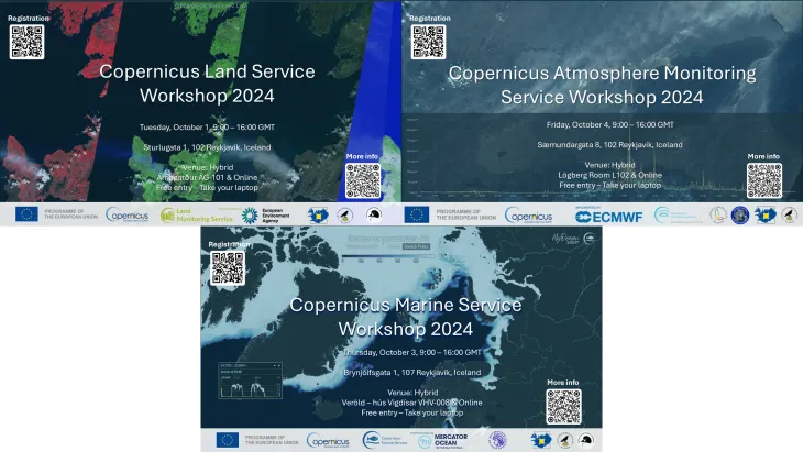 Successful Copernicus Ocean Hackathon and Workshop series in Iceland.