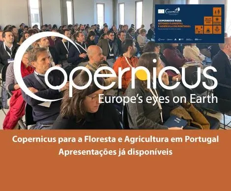 Copernicus for Forestry and Agriculture in Portugal 