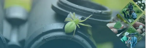 European Biodiversity Observation Network (EU BON)