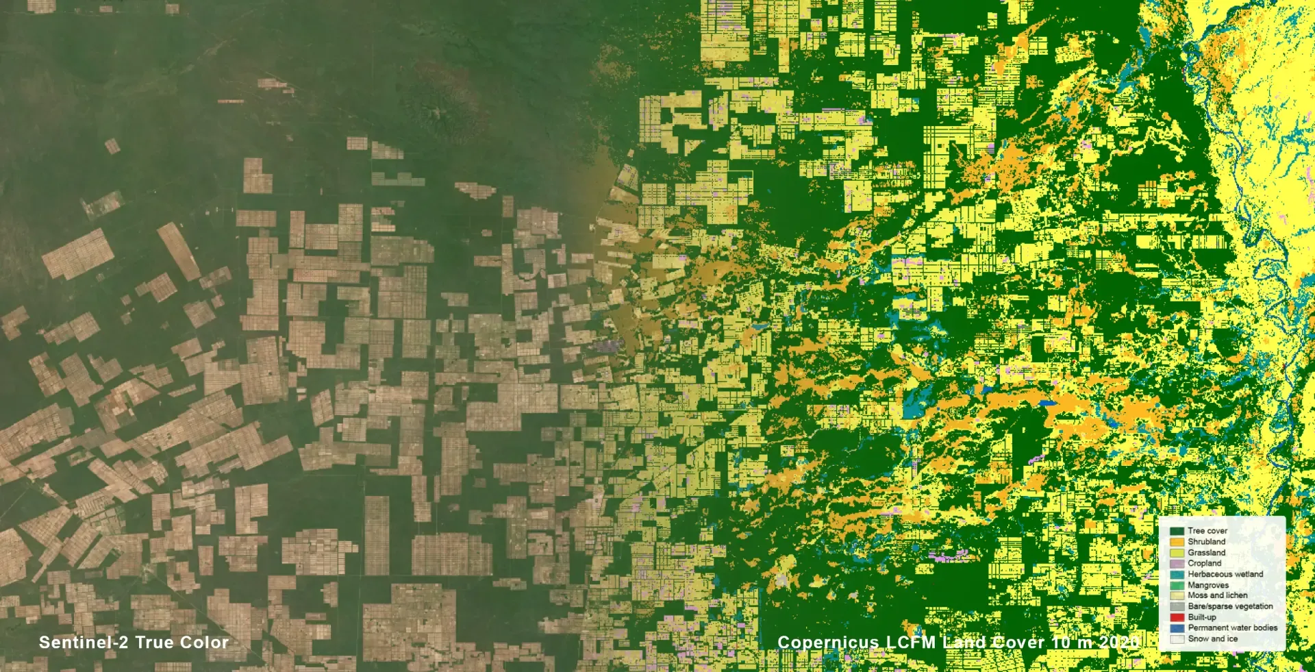 A Copernicus LCFM land cover classification overlaid on satellite imagery of an area of the Gran Chaco region in Paraguay, showing the contrast between remaining tree cover (dark green), grassland (yellow), and shrubland (orange). 