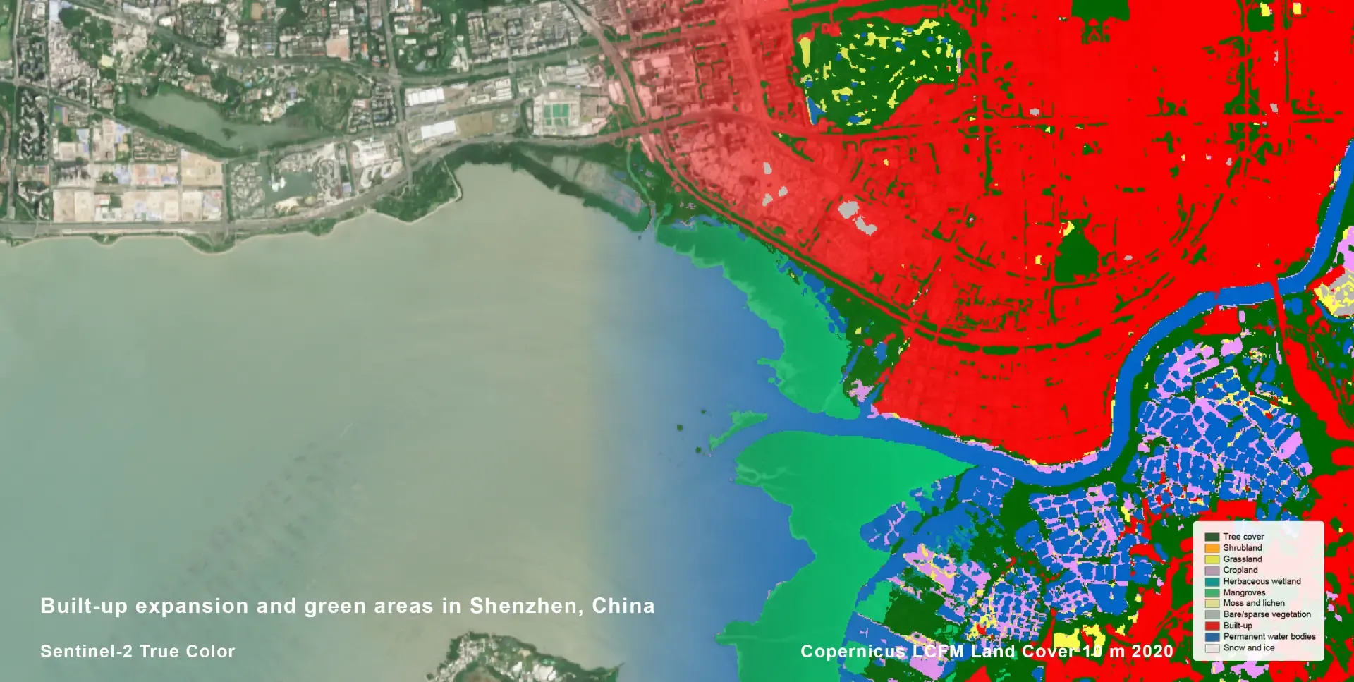  A Copernicus LCFM land cover classification overlaid on satellite imagery of Shenzhen, China, highlighting urban built-up areas (red), tree cover and green spaces (green), grassland (yellow), cropland (purple), and water bodies (blue). 