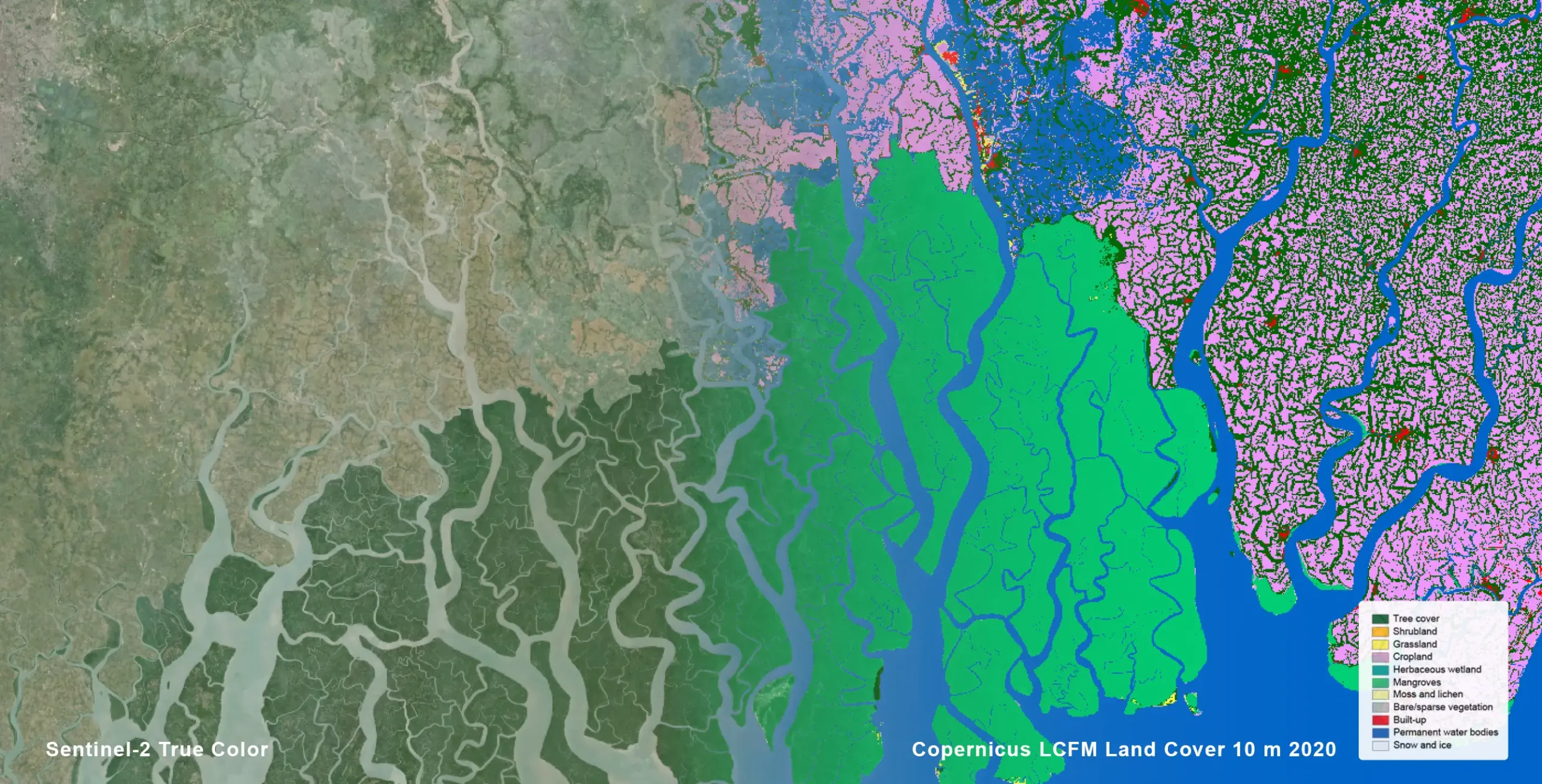 The Sundarbans mangrove forest in the Ganges delta, spanning the coastlines of Bangladesh and India, as depicted in a Copernicus LCFM land cover classification overlaid on satellite imagery. The classification distinguishes mangrove forest extent (green), permanent water bodies (blue), and surrounding cropland (pink). 