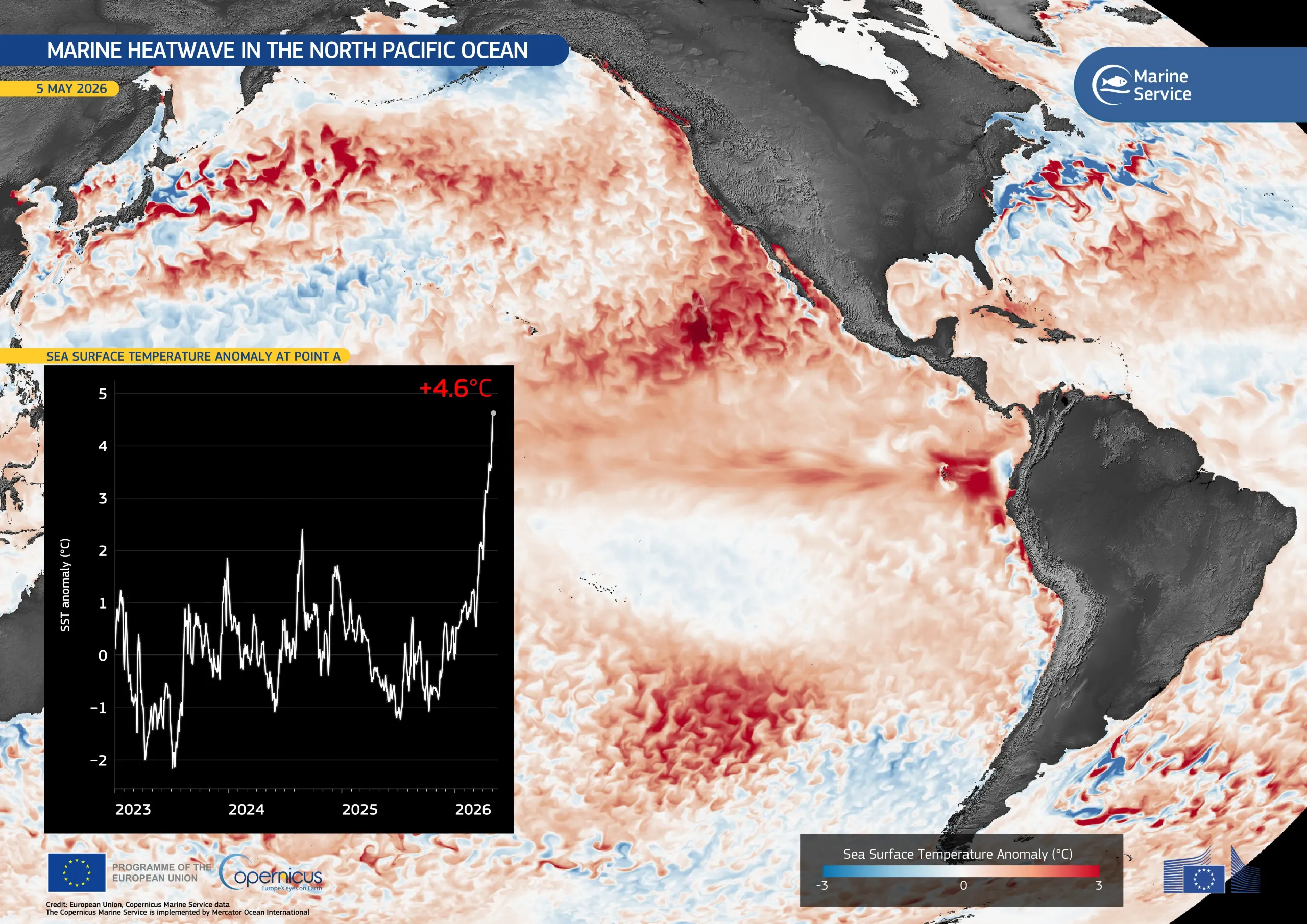 North Pacific heatwave puts marine ecosystems under pressure